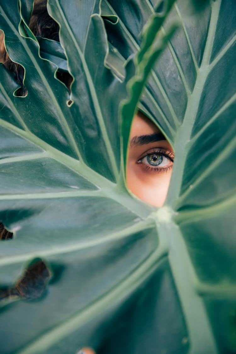Eye peering through plant left.